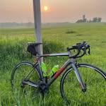 Lyle Hari - @brewer_lyle - Instagram
