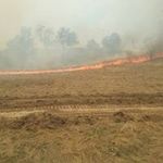 Lyle Carpenter - @lylecarpenter - Instagram