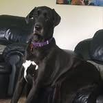 Lyle Chapman - @lyle.chapman.98 - Instagram