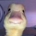 Lyle Cole - Facebook