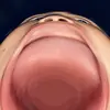 lylecollins527 - @lylecollins527 - TikTok
