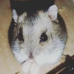 Lschlech - @lylecristina - Instagram