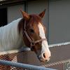 affirmed - @marklyledouglas - TikTok