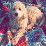 Duke Lyle - @duke_lyle_adventures - Instagram