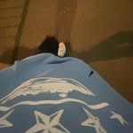 Lyle fleming - @lyle_1 - Instagram
