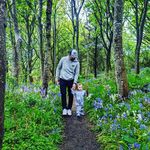 Lyle Gillespie - @lyle.gillespie - Instagram
