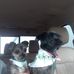 Lyle Haas - Facebook