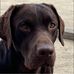 Lyle Hayer - Facebook