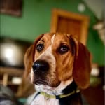 Lyle Harrington - @lyle2284 - Instagram