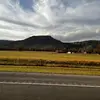 Lyla - @lyla_houk21 - TikTok