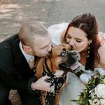 Lyle King - @lyle_kingg - Instagram
