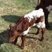 Lyle Morris - Facebook