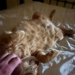 Lyle Morris - @lylebmorris - Instagram