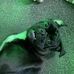 Laila Newcombe - Facebook