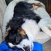 Lilly Newcomb - Facebook