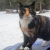 Lyle Ross - Facebook