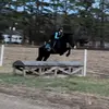 lily_tyree - @lily_tyree - TikTok