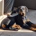 Laila Visser - Facebook