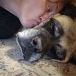 Rebecca Lyle Waters - @rll831 - Instagram