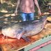 Lyle Watson - Facebook