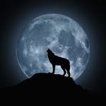 Lyle Wolfe - @mountaintimezoneman - Instagram