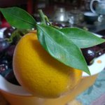 lyman - @lyman_lee - Instagram