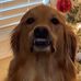 Lemon Peterson - Facebook