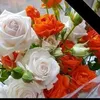 Allen Lyn Moi Moi - @allen.lyn.moi.moi - TikTok
