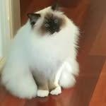 Lyn Bailey - @lynkaye33 - Instagram