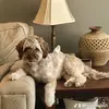 lynn bailey - @lynn.bailey1 - TikTok