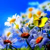 lynn barry - @lynn.barry3 - TikTok