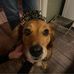 Lyn Bauer Cummins - Facebook