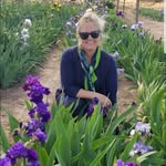 Lyn Brown - @lynbrownart - Instagram