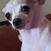 lynnbuck4 - @lynnbuck4 - TikTok