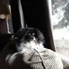 lyncaldwell - @lyncaldwell - TikTok
