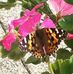 Lyn Chandler - Facebook