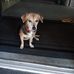Lynn Chandler - Facebook