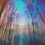 Crystal Lynn Clements - @crystallynnclements - Instagram