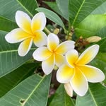 Lyn Clements - @lynclem51 - Instagram
