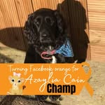 Lynn Clements - @lynn.clements.35 - Instagram
