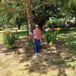 Lyn Cook - @lyn.cook.714 - Instagram