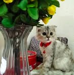 Lyn Dominguez - Facebook