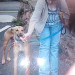 Lynne Dryburgh - Facebook