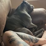Dani Lyn Farrell - @danilynfarrell - Instagram