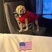 Lyn Farrell - Facebook