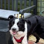 Lyn Georgina Farrell - @lyn.farrell.farrellwrites - Instagram