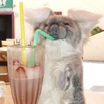 Lyn Fleming - @lyn.fleming.1 - Instagram
