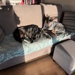 Lyn Fleming - Facebook