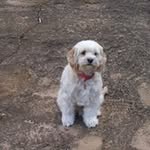 Lyn Fleming - @lynhfleming - Instagram
