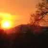 Lynne Forrest - @lynne.forrest0 - TikTok
